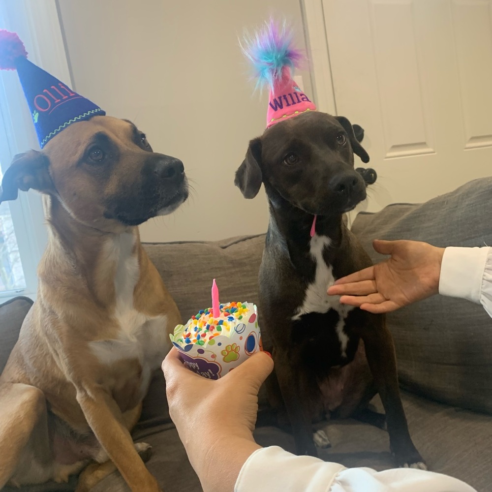 Meet your Posher, Kaitlyn